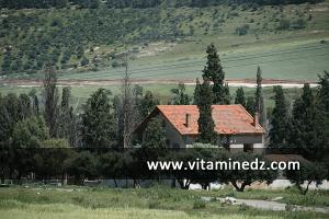 Ferme coloniale, Commune de Ain El Berd (ex Oued-Imbert) ; paysages que traverse l\'autoroute Est Ouest