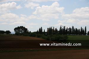 Ferme coloniale de la Commune de Bensekrane (anciennement Pont de l\'Isser pendant la colonisation française)