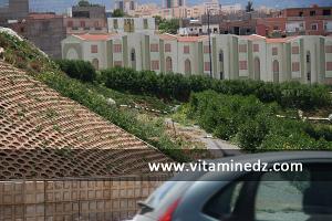 Le village ou quartier El Koudia, à l\'entrée de Tlemcen