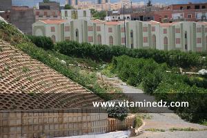 Le village ou quartier Koudia, à l\'entrée de Tlemcen