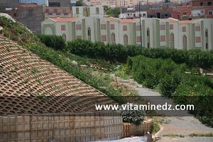 قرية  الكدية  عند مدخل مدينة  تلمسان