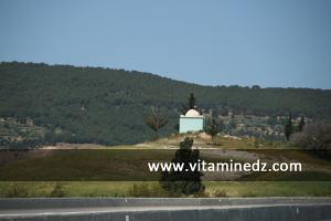 صورة ضريح بضواحي بلدية  عين البرد