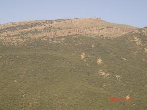 جبال  برج بوعريريج  في فصل الربيع 1