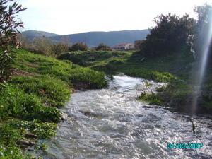 وادي عابر بضواحي  غيلاسة