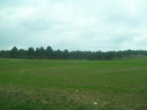 غابات بلدية  حسناوة