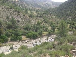 جبال مخضرة ببلدية  تافرڨ