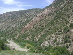 الجبال الغابية لبلدية  تافرڨ