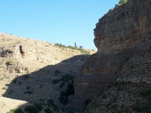 منظر طبيعي بضواحي  برج بوعريريج