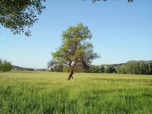 الحقول الخضراء لبلدية  غيلاسة