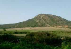 جبل أخضر ببلدية 