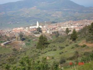 منظر شامل لمدينة 