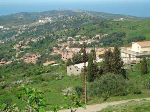 صورة من قرية 