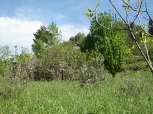 Paysage naturel de Draa Kébila