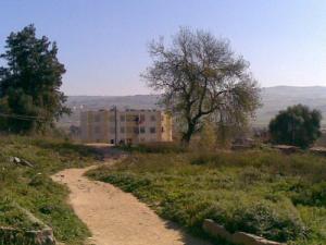 مباني بضواحي مدينة 