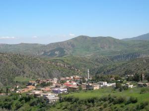 صورة من ضواحي قرية 