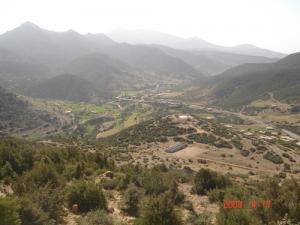 منظر من ضواحي 