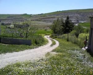 فصل الربيع بضواحي  برج بوعريريج