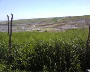 حقول القمح المجاورة لبرج بوعريريج