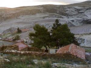 صورة من قرية  المشرع  ببلدية  مجانة  (ولاية برج بوعريريج)