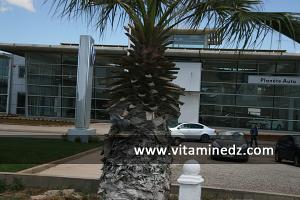 Nouveaux showrooms de concessionnaires à Essenia, route de l\'Aéroport