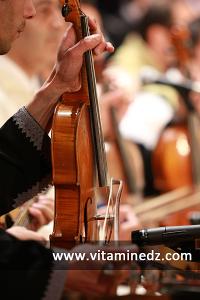 L\'Orchestre Maghrébin, dirigé par Rachi Guerbas aux Cérémonies de clôture de Tlemcen capitale de la culture islamique 2011 (24/04/2012)