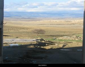 حقول زراعية بضواحي  سيد مبارك