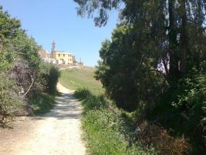 المسجد الكبير لبلدية  حيسناوة