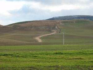 منطقة  أم رماح  ببلدية  راس الواد