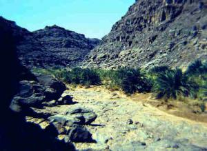 صورة لوادي  جراة  سنة 1975