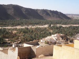 الواحات الشاسعة لمدينة  عين أم الناس