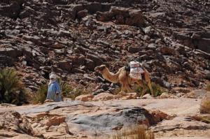 سكان منطقة  إليزي