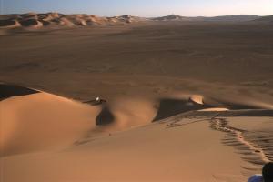 صورة لعرق  آدمر