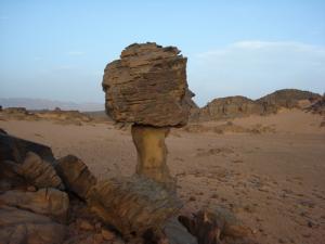 صخرة غريبة الشكل بضواحي  تيسراس  (ولاية إليزي)