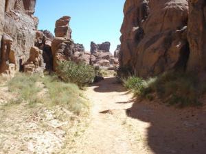 منظر من ضواحي  تامريت