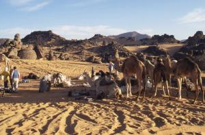 السياحة بمنطقة  تيسراس  (ولاية إليزي)