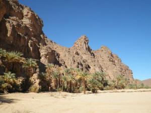 واحة من ضواحي  أجاهيل