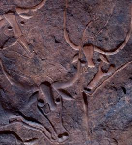 رسم  البقرة الباكية  بضواحي  إليزي