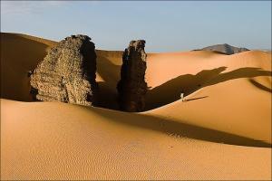 ولاية إليزي