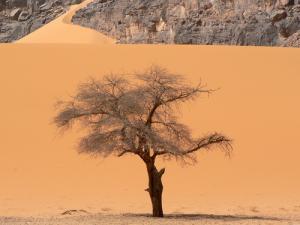 منظر بين منطقة  مول ناڨة  و  تين مرزوڨة  (ولاية إليزي)
