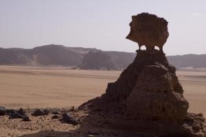 صخرة على شكل  خنزير