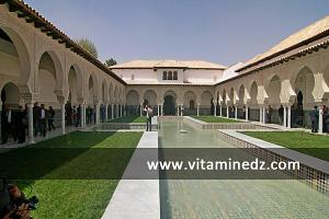 منظر داخلي لقصر 