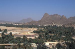 منظر إجمالي لواحات 