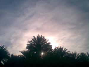 طلوع الشمس على واحات 