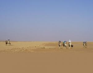 فرسان التوارڨ بضواحي 