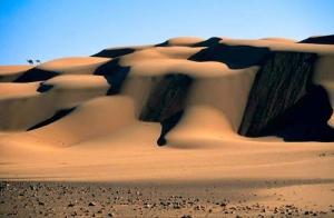 الطبيعة الصحراوية لولاية إليزي