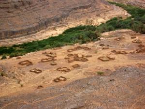 منظر من ضواحي 