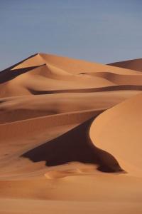 جمال الرمال بضواحي  إليزي