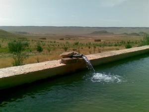 حوض مائي لري الواحات بضواحي مدينة  البيض