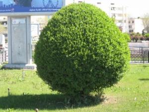 Sétif ville le 21 Avril 2012