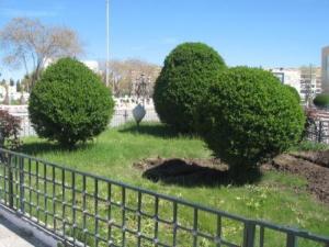 Sétif ville le 21 Avril 2012